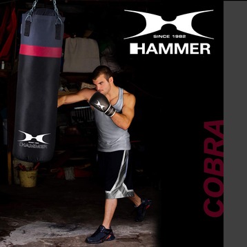 - Cobra kaufen cm, Galaxus (100 kg) bei 26 Fitness Hammer