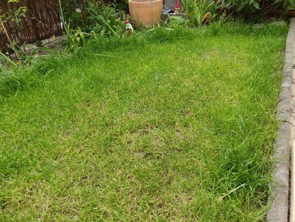 Lawn edges in front of obstacles must be cut by hand.