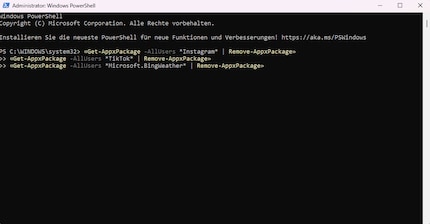 Auch mehrere Deinstallationen zugleich sind möglich.