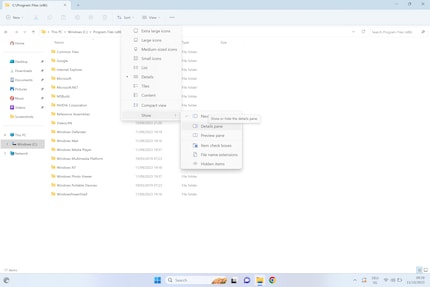 This will show you the file extensions.