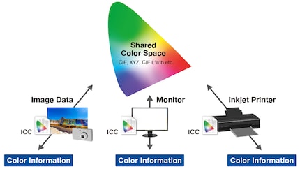 ICC-Profile übersetzen die Farbinformationen von einem Farbraum in die Sprache der Hardware und umgekehrt.