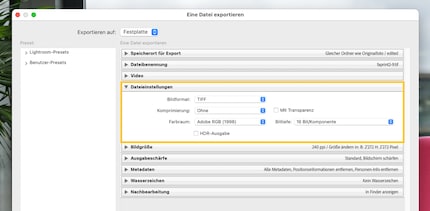Willst du eine Datei weiterverarbeiten oder drucken, empfiehlt sich der Export als TIFF mit hoher Farbtiefe.