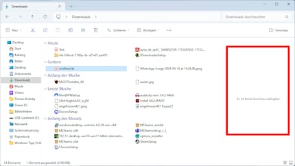 Mit der Deselektion des Vorschauhandlers verzichtest du auf eine Vorschau.